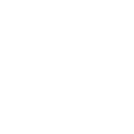 SmartCAE - logo trottola